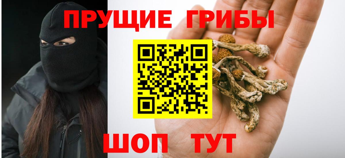 Галлюциногенные грибы прущие грибы  Вход с VPN  Псилоцибиновые грибы ЛСД  Улан-Удэ 