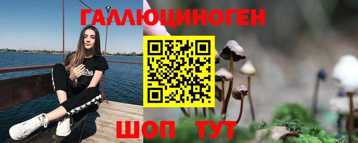 Псилоцибиновые грибы Psilocybine cubensis Улан-Удэ
